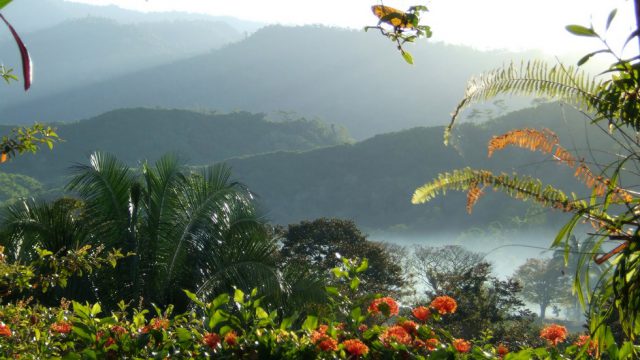 Gorgeous Tropical Setting
