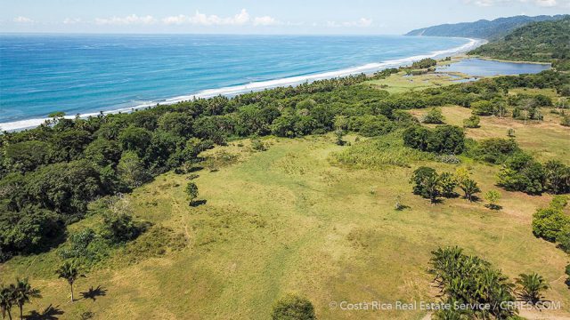 Beachfront Pasture Land