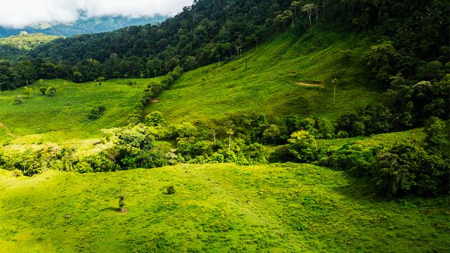 Large Pasture Areas
