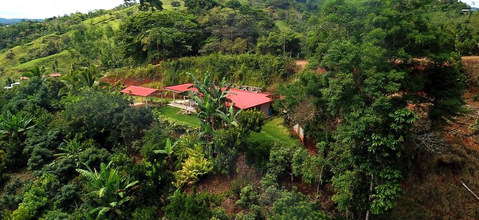 Quaint Home with Organic Hobby Farm in San Rafael de Platanares