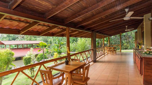 Tropical Setting