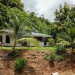 Upper House