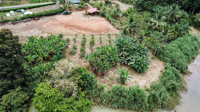 Planted with Fruit Trees
