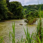 Baru River Views