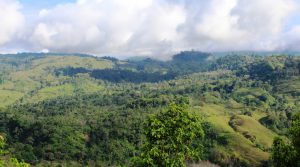 25+ Acre Property in Punta Mira with Majestic Mountain Views