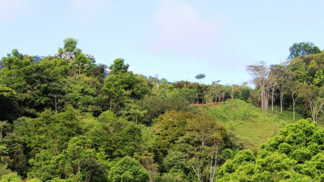 "Off the Grid" Property