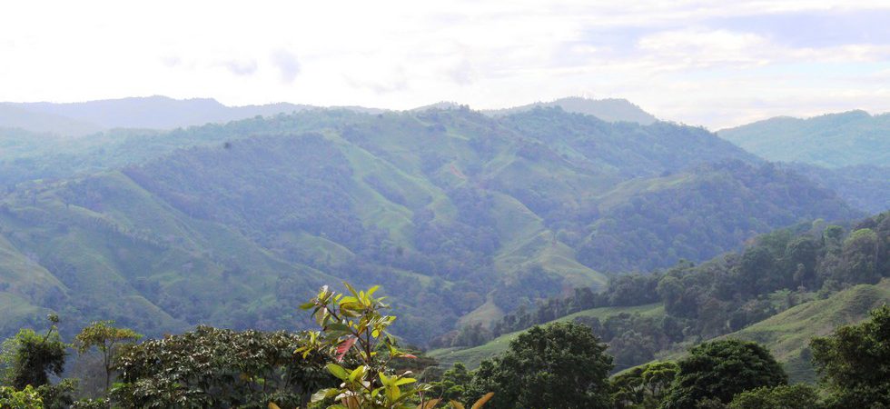 25+ Acre Property in Punta Mira with Majestic Mountain Views
