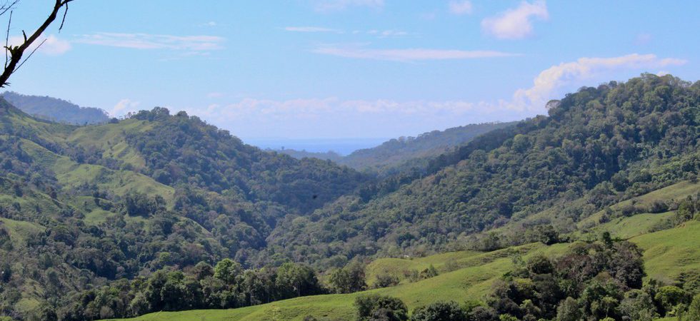 50+ Acre Organic Farm in Tres Piedras with Mountain and Ocean Views