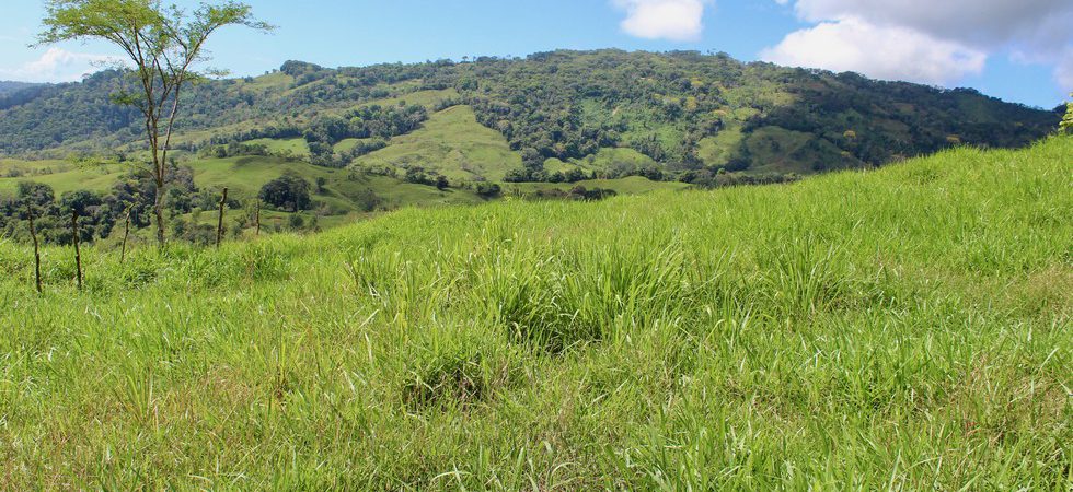 50+ Acre Organic Farm in Tres Piedras with Mountain and Ocean Views