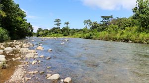 Riverfront Property in Uvita with Residential or Commercial Viability