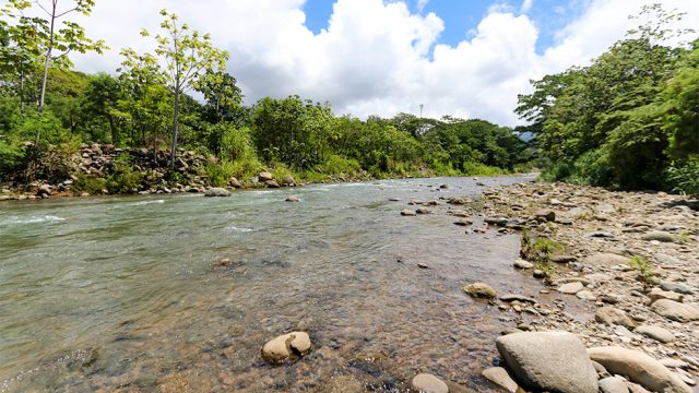 Uvita River Views