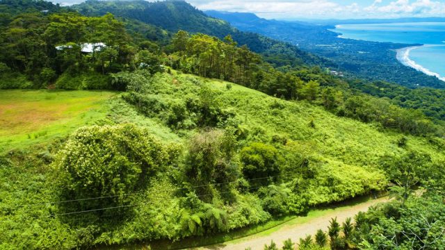 Costa Verde Community