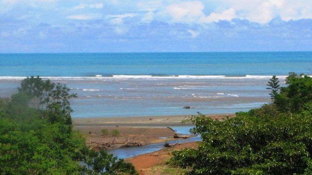 Walk to Tortuga Beach