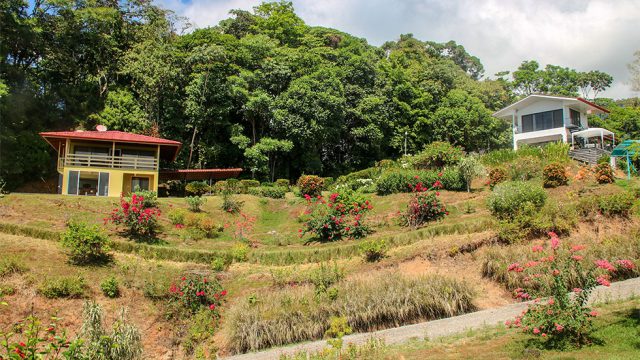 Two Vacation Rentals