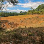 6.48 Acre Land Parcel