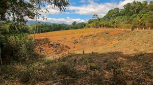 6+ Acres with Multiple Building Sites in the Mountains Above San Isidro