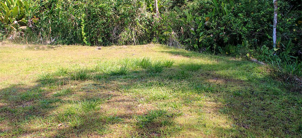 Large Ocean View Lot in Costa Verde on 5 Acres Above Dominical