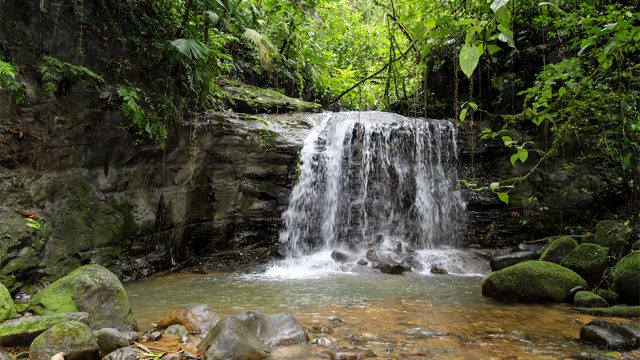 Beautiful Cascade