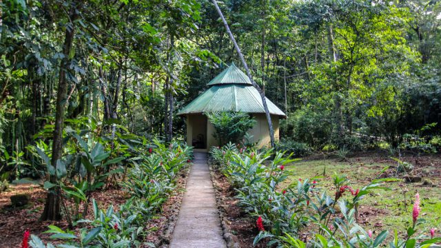 Privacy Among the Jungle