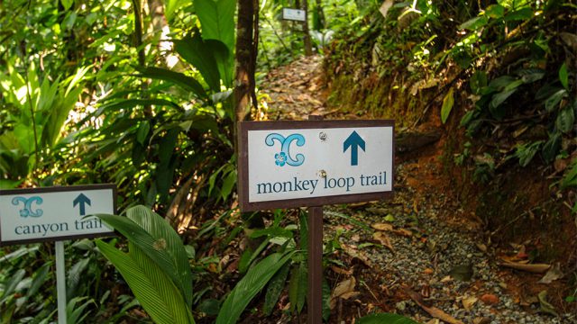 Internal Hiking Trails