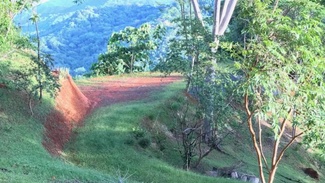 Two 4-Acre Land Parcels