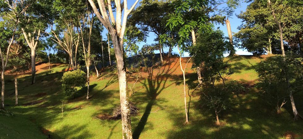 2 Land Parcels in Lagunas with Gorgeous Ocean and Mountain Views
