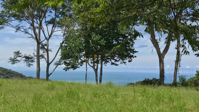 Premier Estate Property