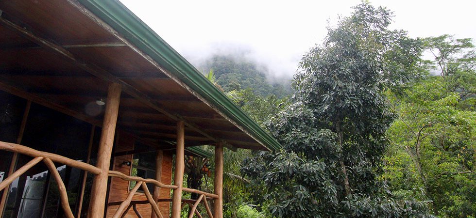 Hardwood Cabin in a Organic Community Farm near Tinamastes