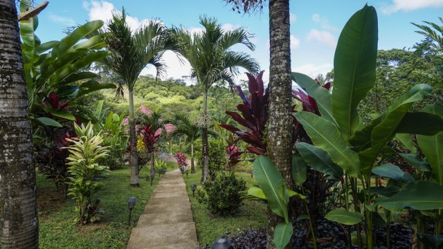 Landscaped Gardens