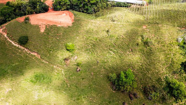 Lush Land for Farming