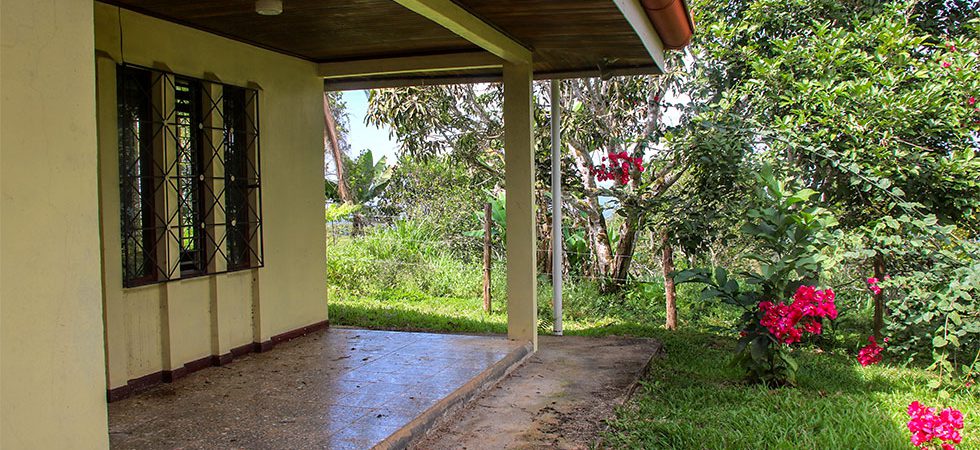 Starter Home with Mature Fruiting Trees in Mountains of San Salvador