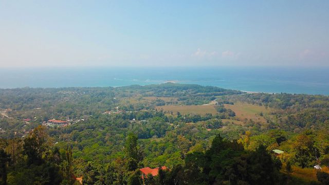 Whale Tail Ocean View