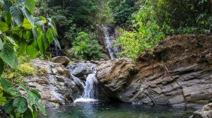 212 Acre Waterfall Paradise and Fruit Farm in Mountains of Hatillo