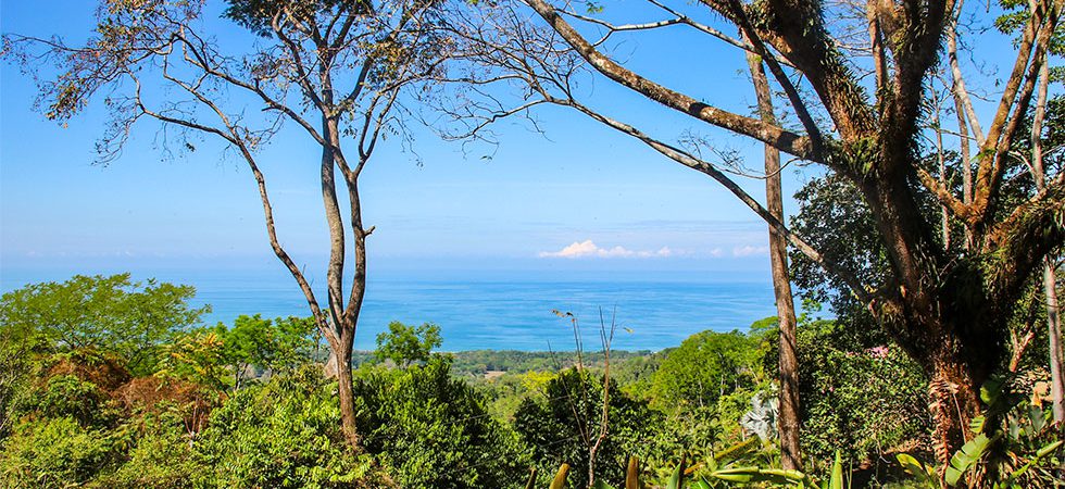 Two Spectacular Whale's Tail Ocean View Cabins and Building Site in Uvita