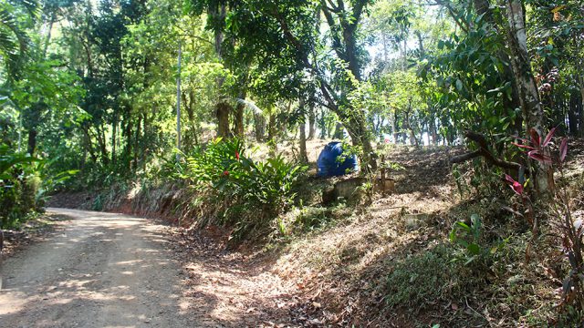 Easy Access to Uvita