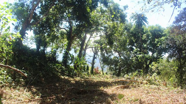 2 Subdivided Lots
