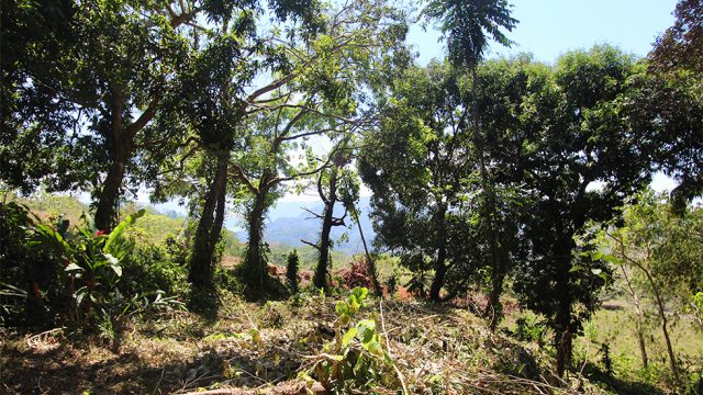 0.85-Acre Property in Uvita