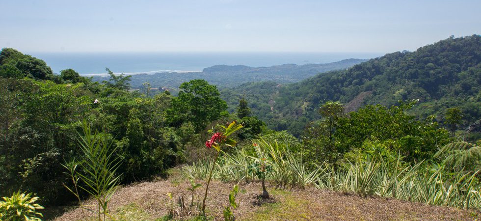 Cool Mountain Home With Spectacular Ocean Views in Ojochal