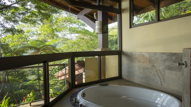 Jacuzzi with Forest Views