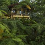 2.69-Acre Property with Lush Rainforest Setting