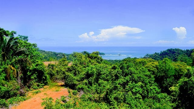 Premier Estate Property in Dominical