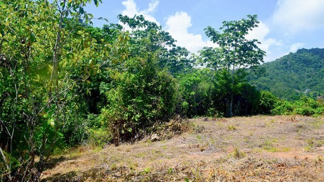 Secondary Building Site