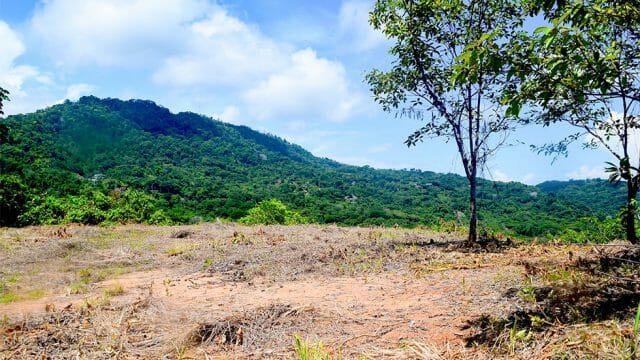 6.07-Acre Land Parcel