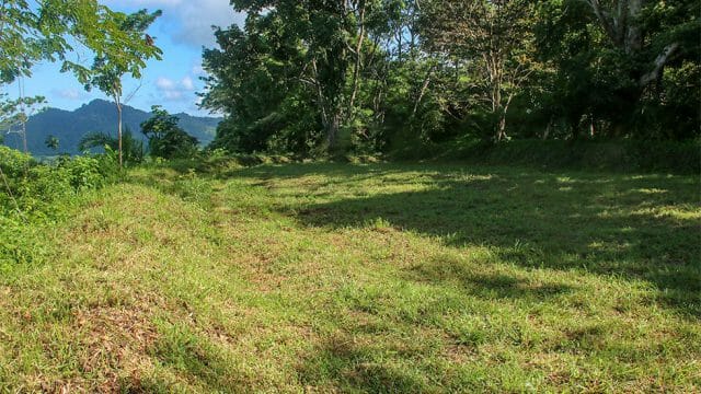 From 8+ Acres to Over 14 Acres