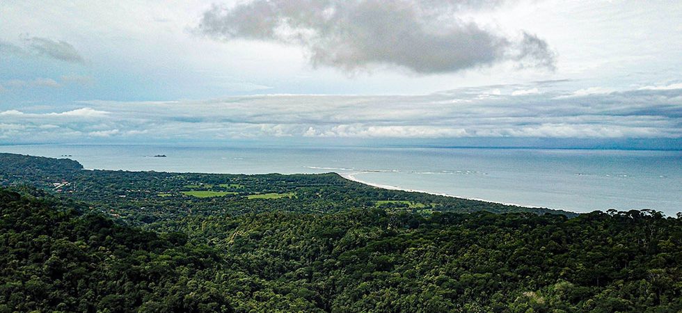 Large Building Lot with Whale’s Tail Ocean View in San Josecito