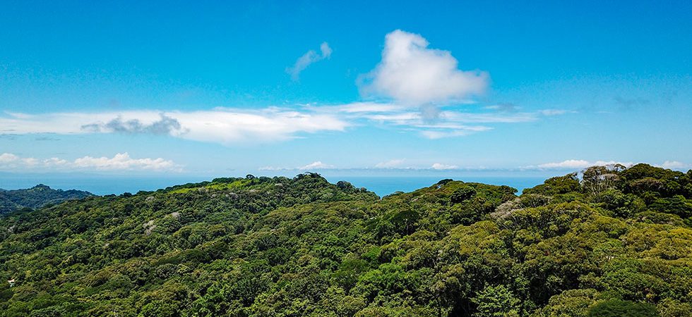 Best of Both Worlds: Ocean Views and Cool Hillside Breezes in Lagunas