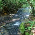 Beautiful River Frontage