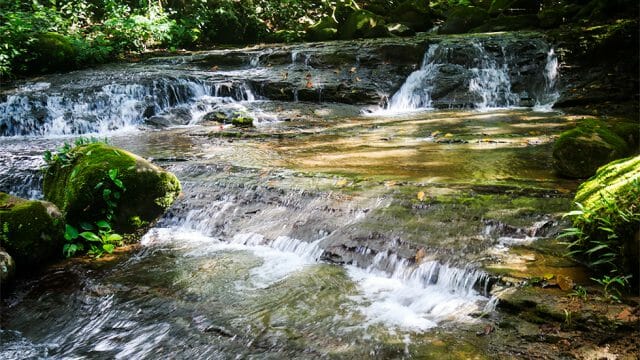 Natural Springs