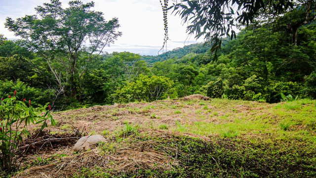 Building Site on Property
