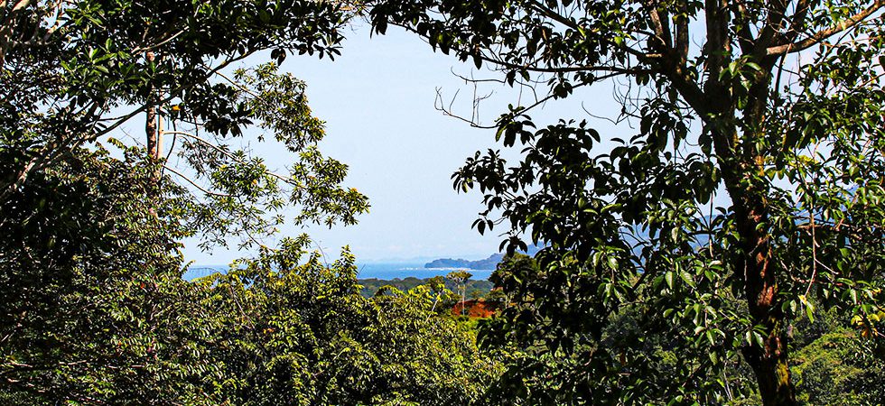 Sunset Ocean View Building Lot Off of Private Road in Uvita